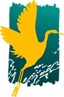 The Sống Collective Logo